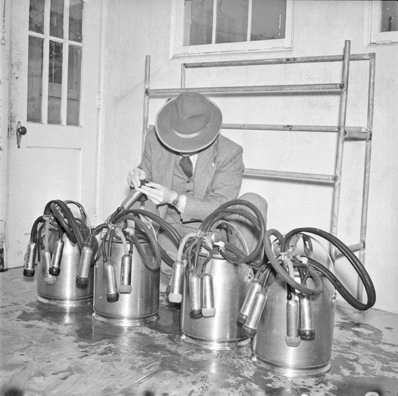 095_milking machines,... (undated).jpg